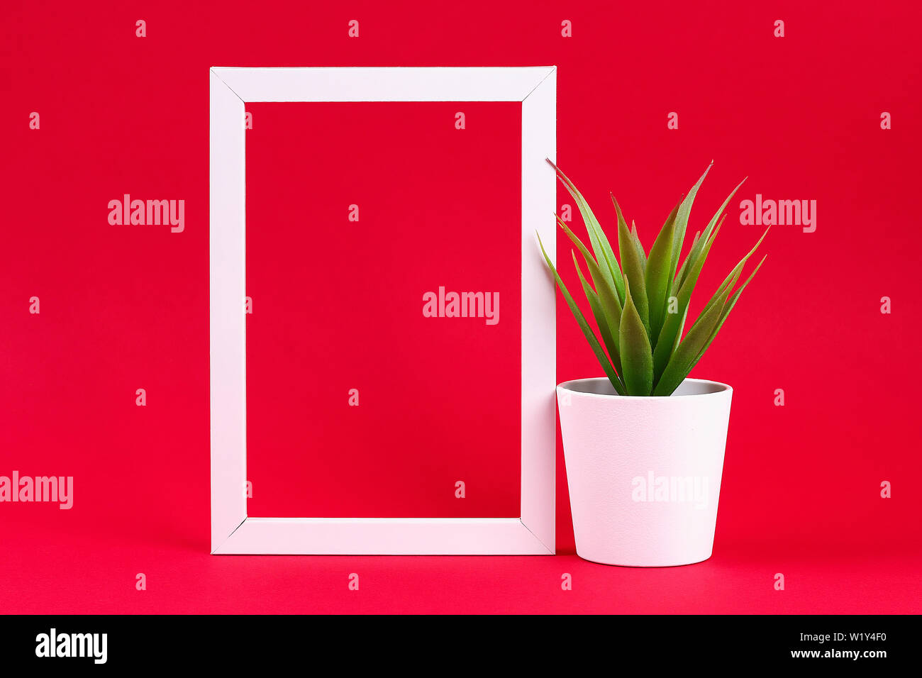 Artificial green grass in a white small pot in a white frame on a red burgundy background. Copy space. Stock Photo