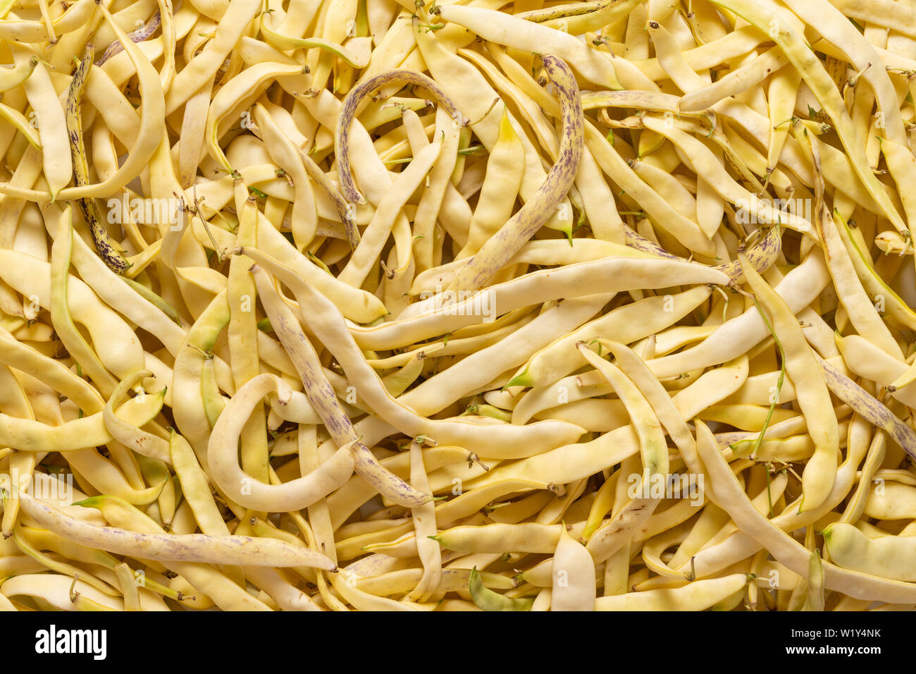 Background of organic flat yellow wax beans, different sizes and shapes. Stock Photo