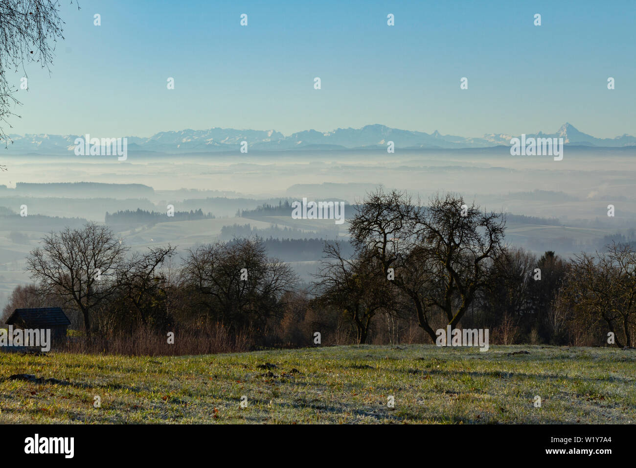 leafless trees on a hill are overlooking a valley covered with fog and some mountain peaks are peaking throw with a frosty field in the foreground Stock Photo