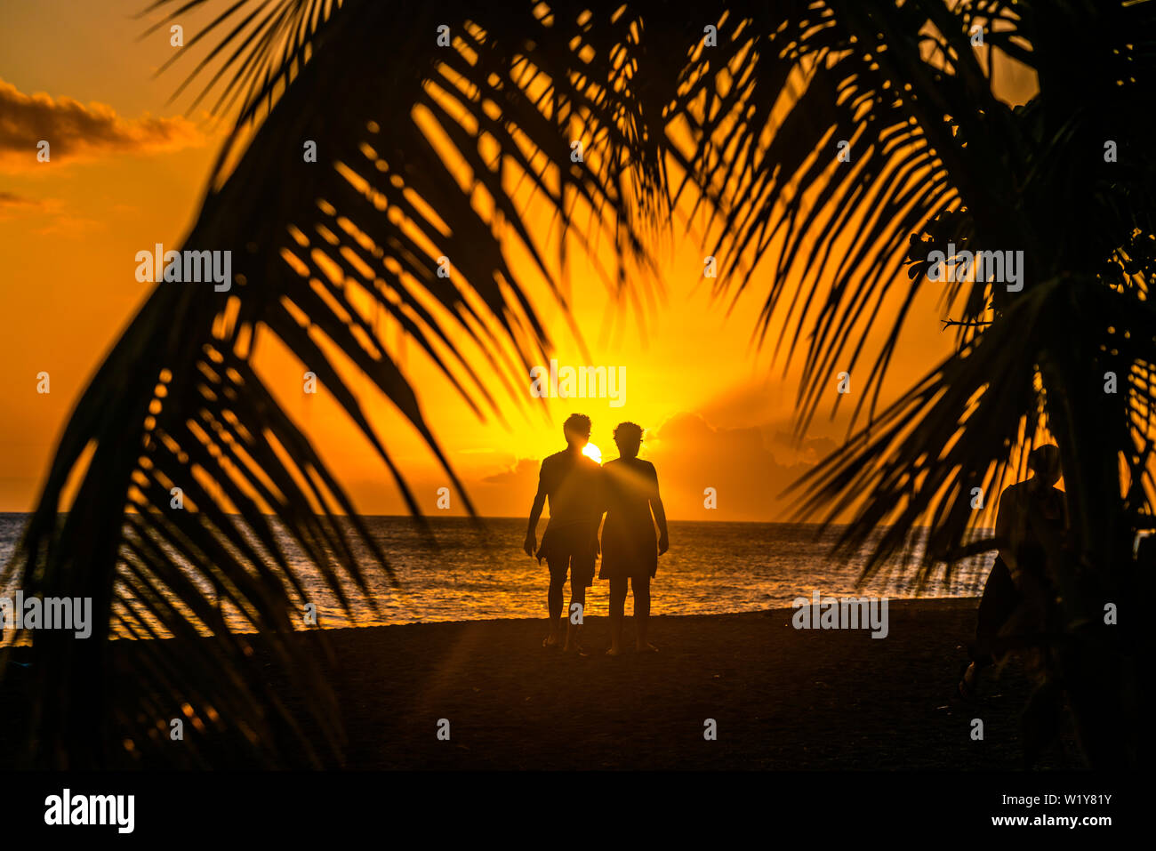 Sonnenuntergang am Strand unter Palmen am Meer, Guadeloupe, Frankreich  |  sunset under palm trees at he beach in Guadeloupe, France Stock Photo