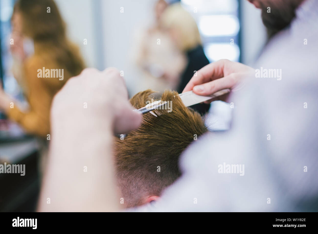 Barber Making Haircut Bearded Man In Professional stylist