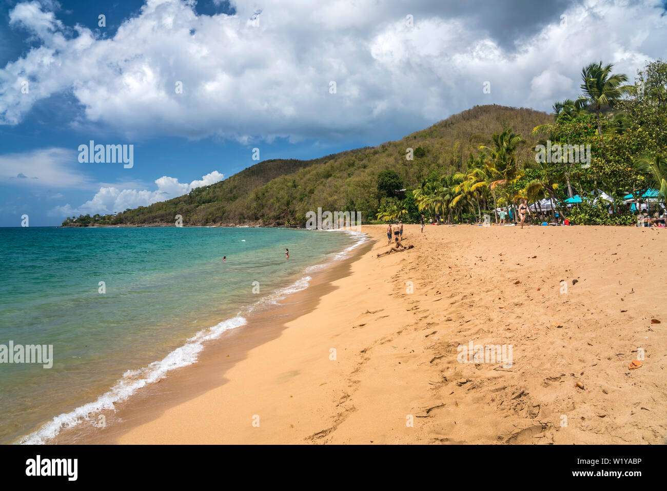 Am Strand Plage de Grande Anse bei Deshaies im Norden von Basse-Terre,  Guadeloupe, Frankreich  | at the beach Plage de Grande Anse near Deshaies vill Stock Photo