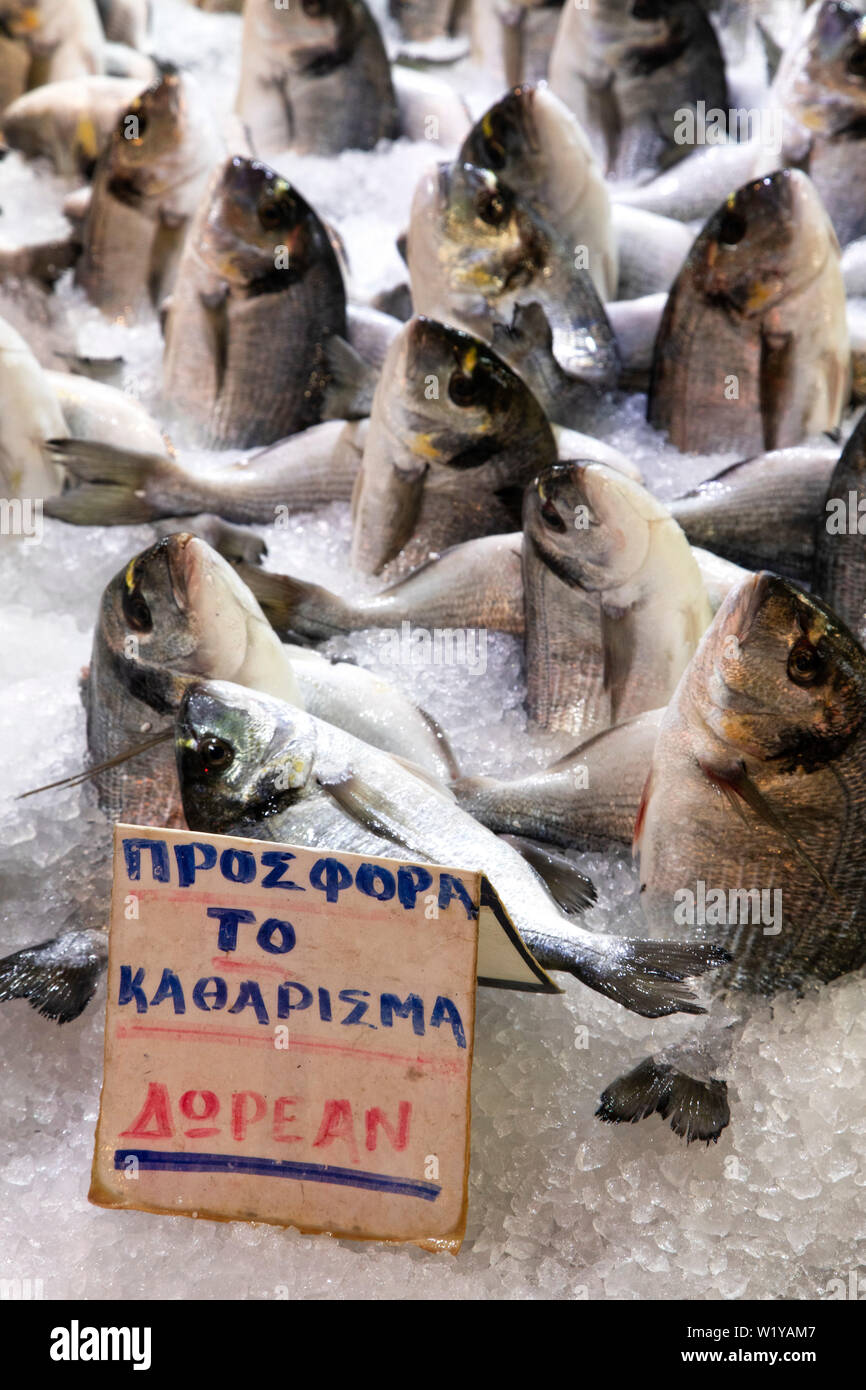 Fish on ice at the Athens fish and meat market, Greece. Stock Photo