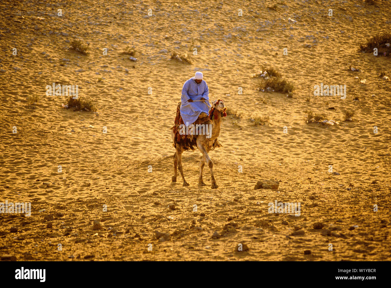 Luxor, Egypt, A man rides his camel across the desert. Photo: © Simon Grosset. Archive: Image digitised from an original transparency. Stock Photo