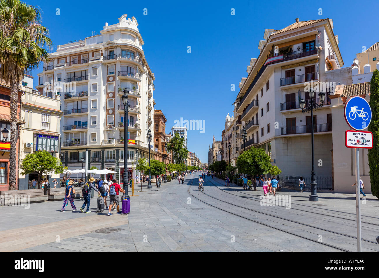 Avenida de la Constitucion in historic downtown centre of Seville, Andalusia, Spain, Europe Stock Photo