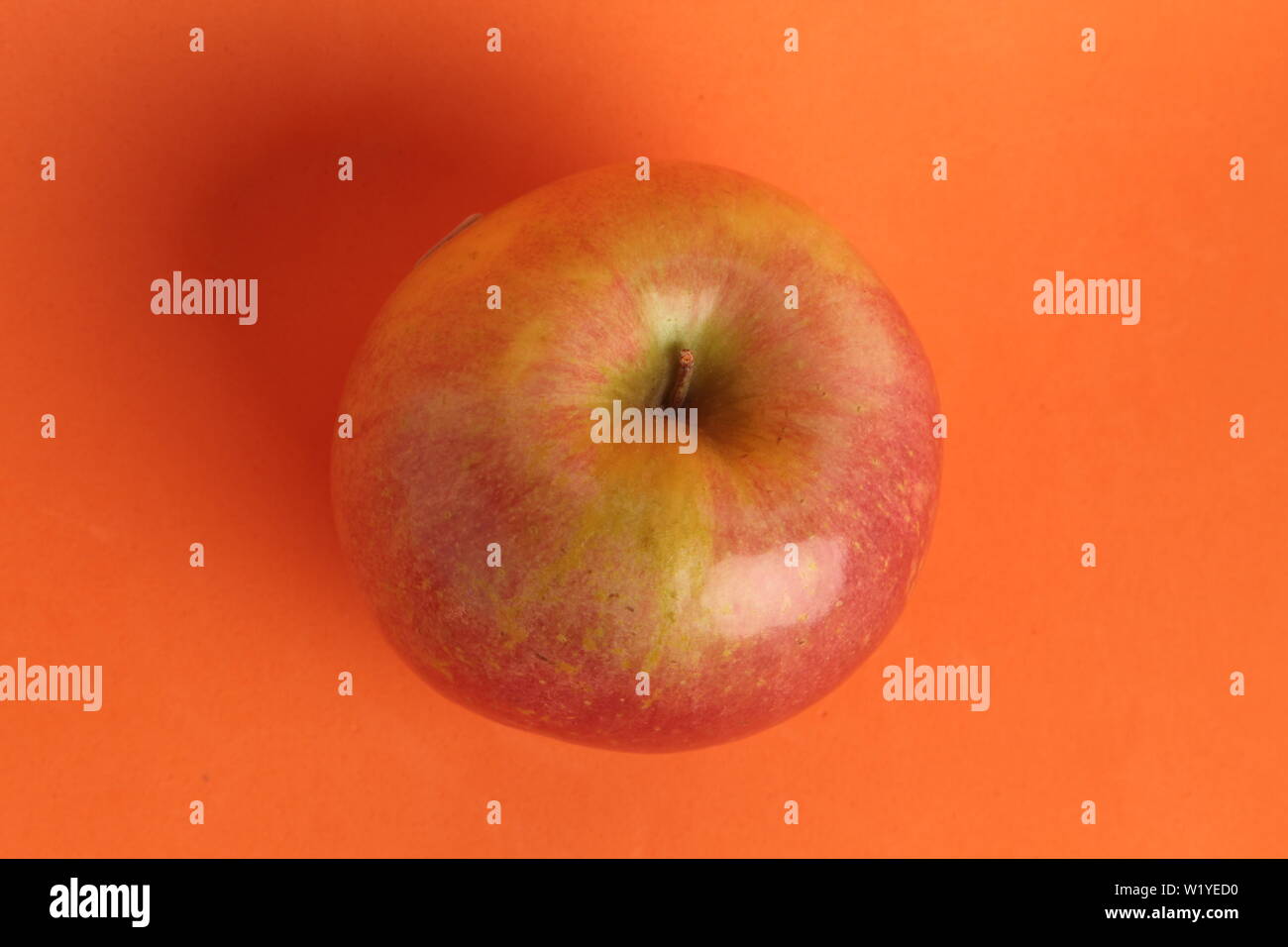 Fresh apples variety grown in the apple country South Tyrol, northern Italy. Stock Photo