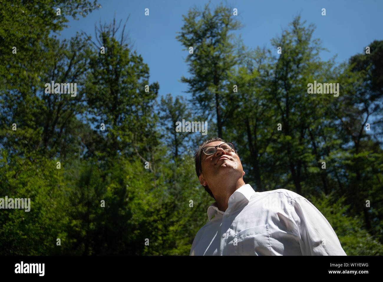 Lichtenwald, Germany. 04th July, 2019. Peter Hauk (CDU), Minister of Agriculture of Baden-Würtemberg, stands in a wooded area. According to the Ministry for Rural Areas, climate change is having an increasing impact on native tree species. Against the background of the scenarios of the Intergovernmental Panel on Climate Change, options for action for the country's tree species and forests were presented at a press conference. Credit: Marijan Murat/dpa/Alamy Live News Stock Photo