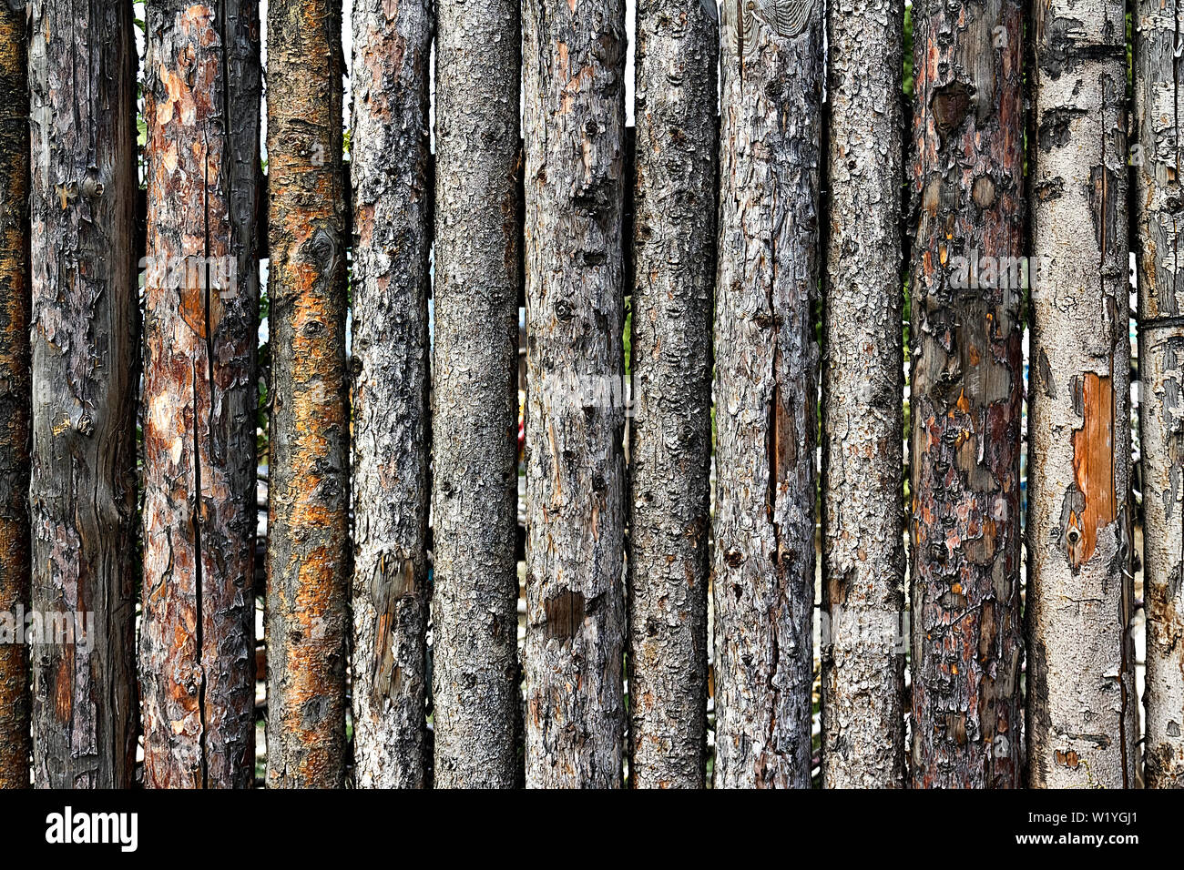 fence made of logs with bark as background Stock Photo