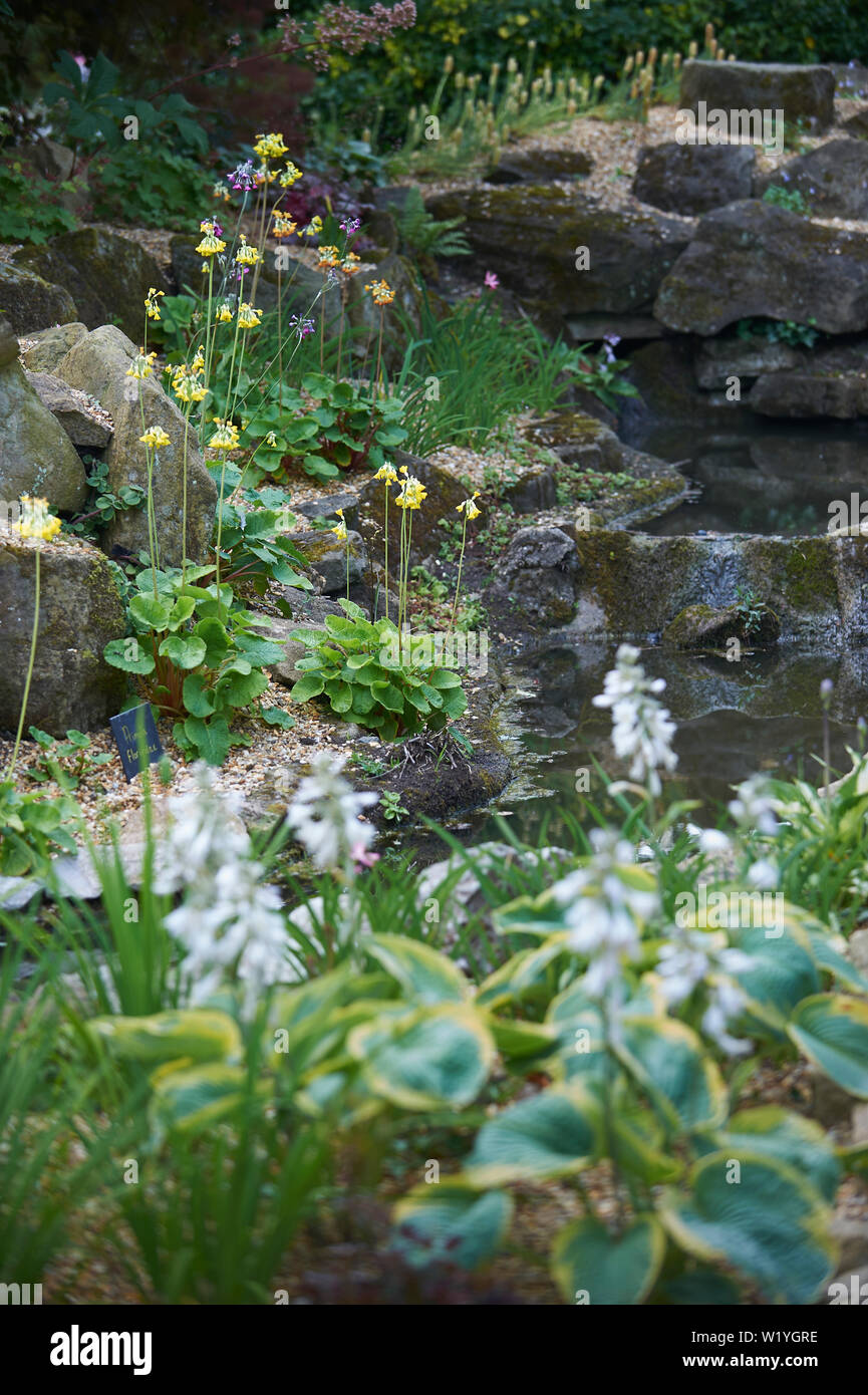 Summer flowering plants in a rockery Stock Photo Alamy
