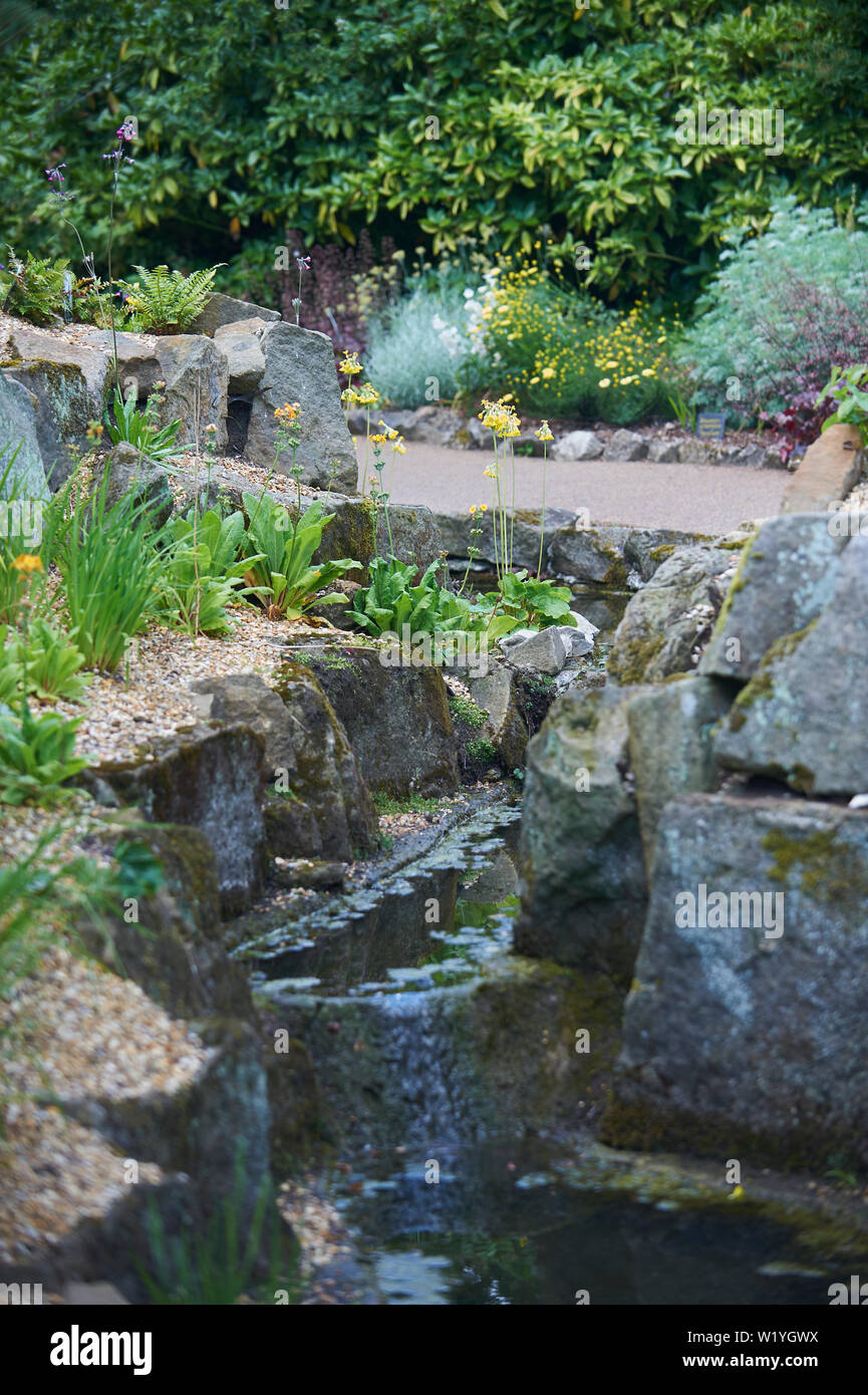 Summer flowering plants in a rockery Stock Photo Alamy