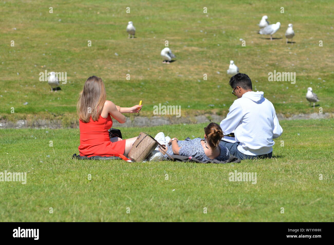 Friends sitting in a park in hot sunshine in summer. Woman applying suntan cream, Bournemouth, UK Stock Photo