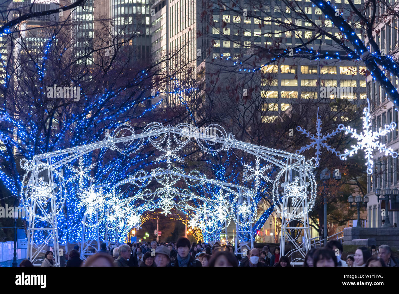 Festival of the Lights in Osaka. The winter illumination events
