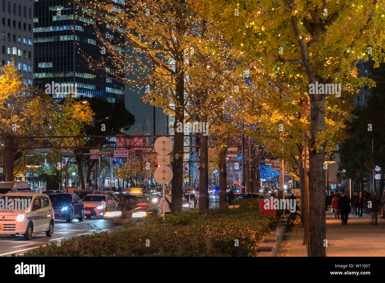 Festival of the Lights in Osaka. The winter illumination events ...