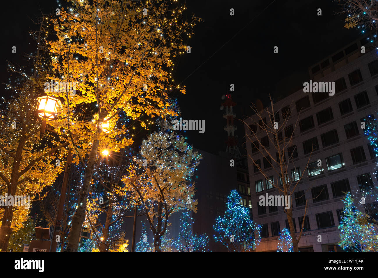 Festival of the Lights in Osaka. The winter illumination events