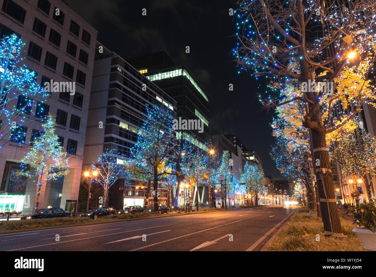 Festival of the Lights in Osaka. The winter illumination events ...