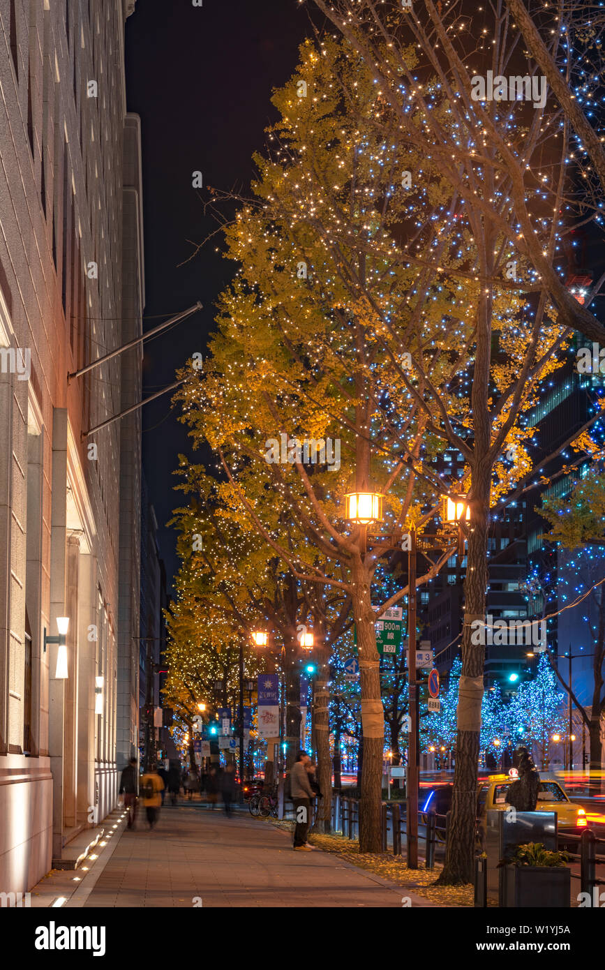 Festival of the Lights in Osaka. The winter illumination events