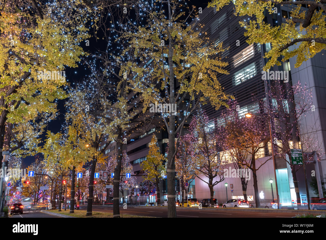 Festival of the Lights in Osaka. The winter illumination events