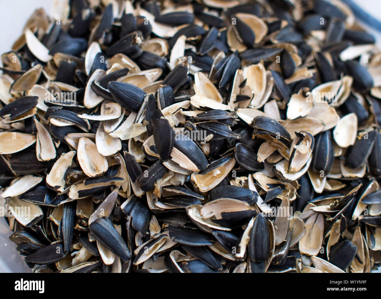 Husk from sunflower seeds piled a handful Stock Photo Alamy