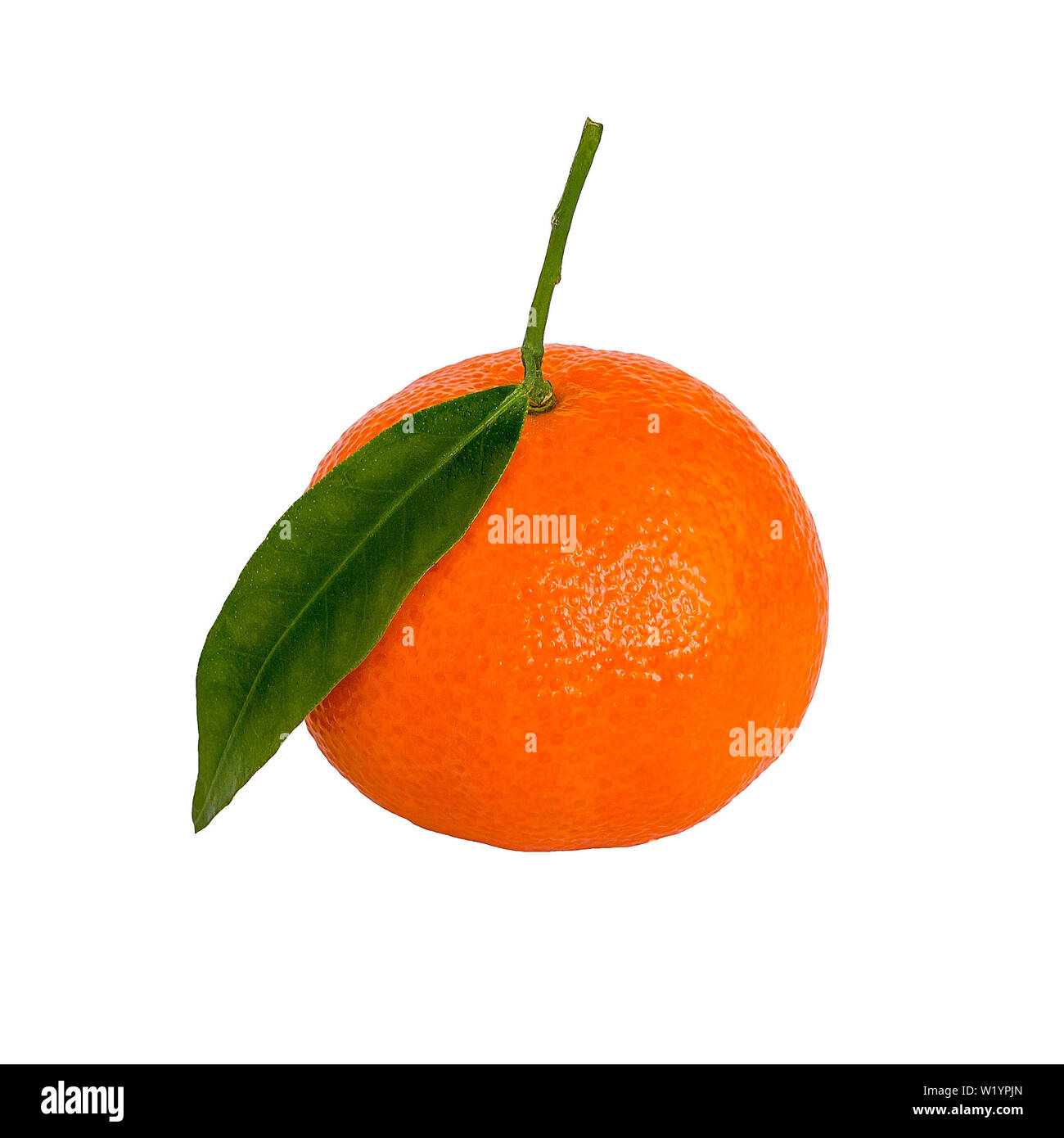 One ripe orange tangerine or mandarin with green leaf isolated on white background. Front view. Stock Photo
