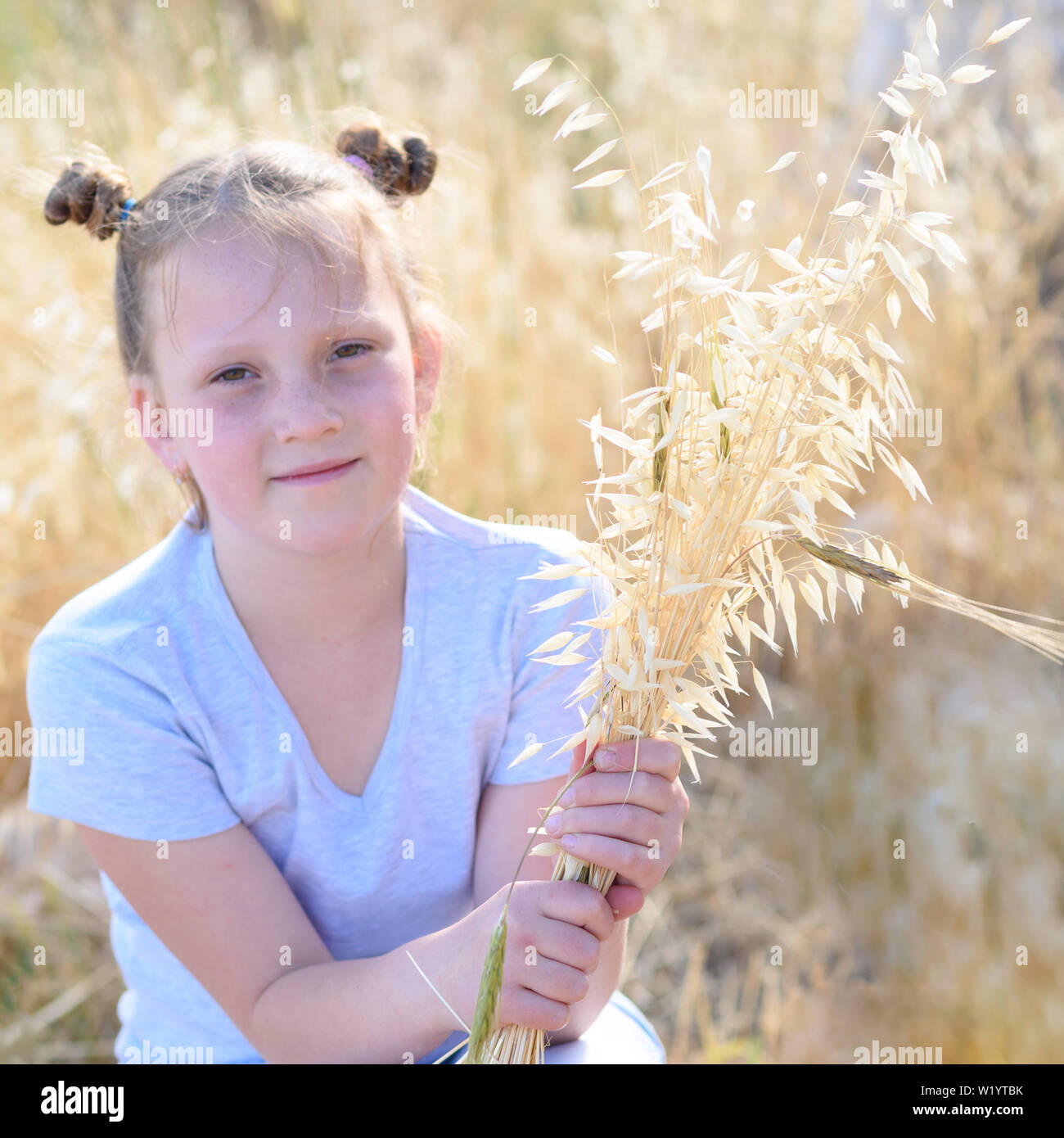 Beautiful girl holding spikes of wheat and ears of oats. Cute child sitting on the gold autumn field ready for harvest. Stock Photo