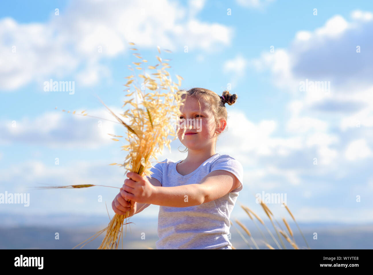 Happy little girl walking in golden wheat, holding spikes of wheat and ...
