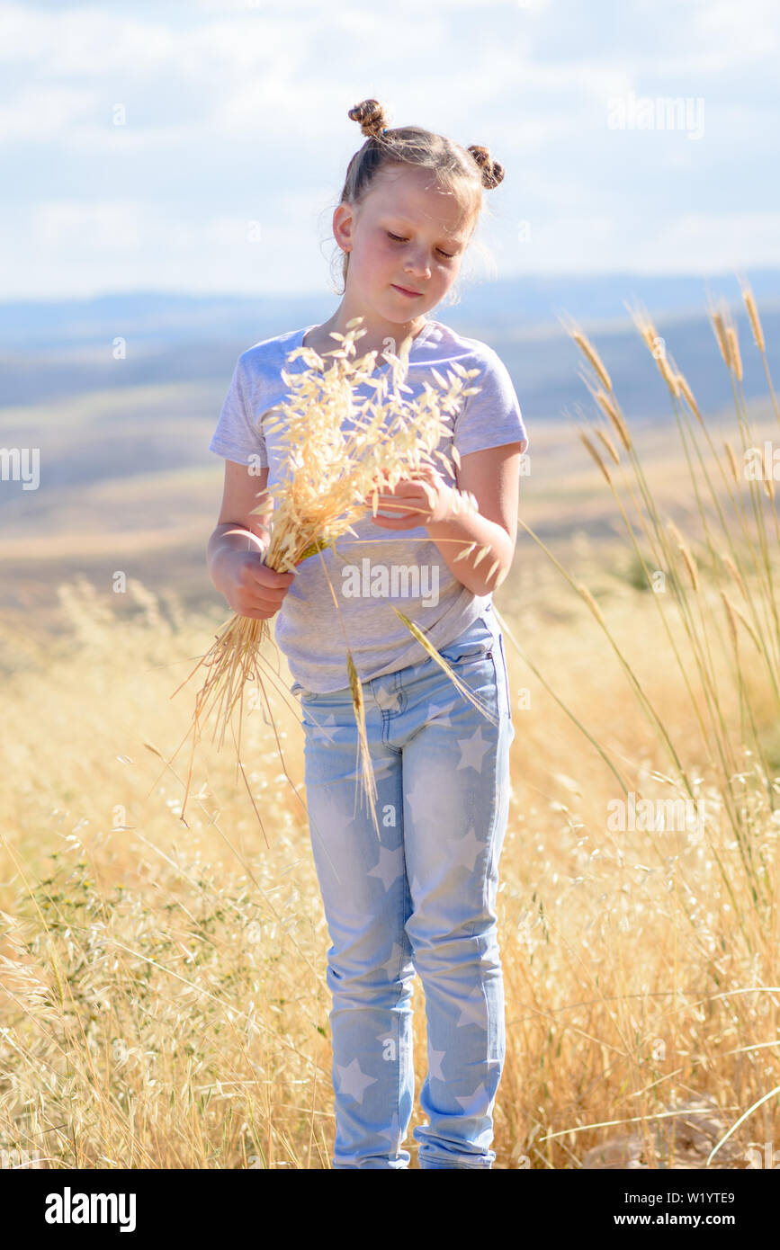Happy little girl walking in golden wheat, holding spikes of wheat and ...