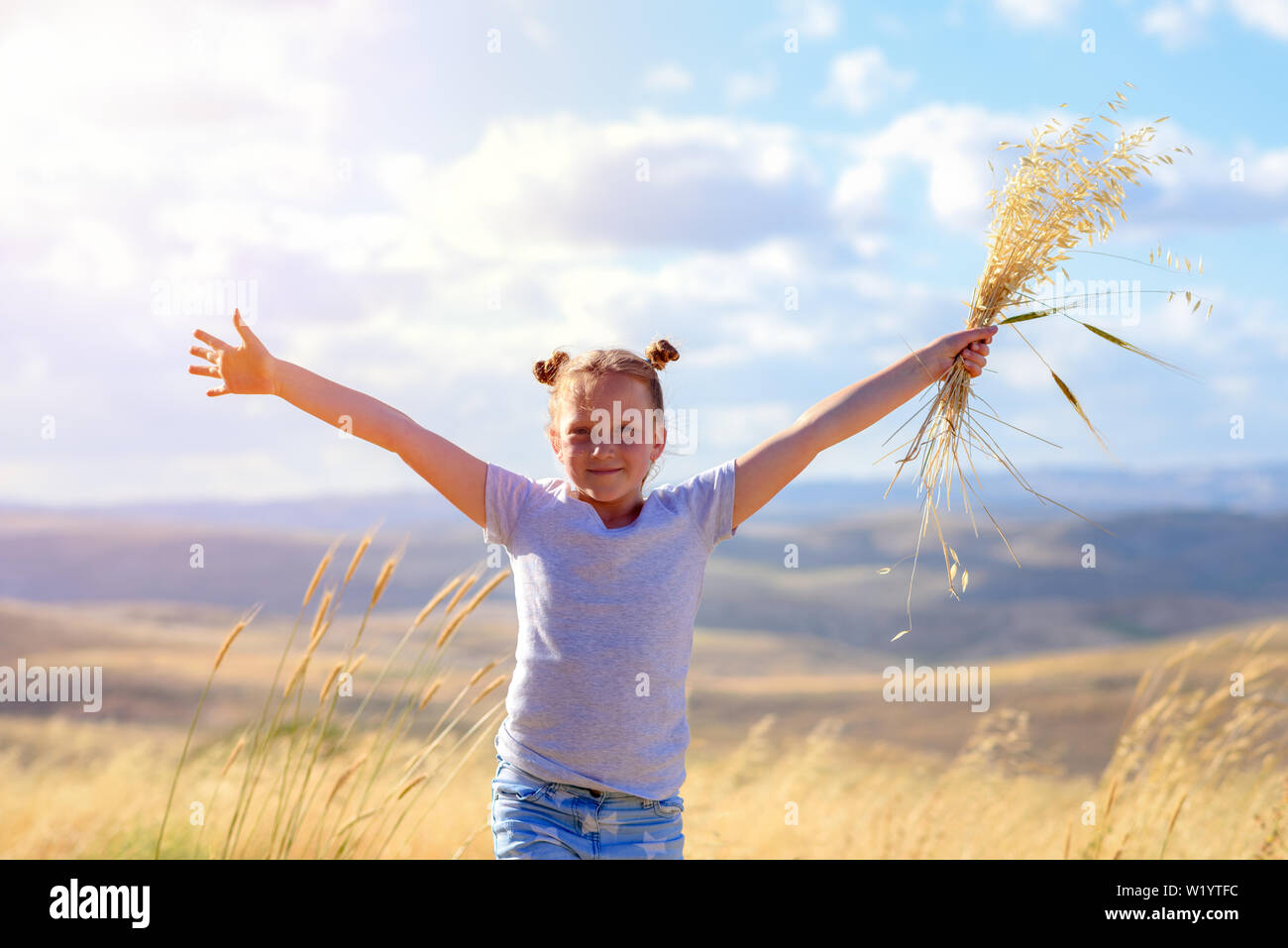 Happy little girl walking in golden wheat, holding spikes of wheat and ...