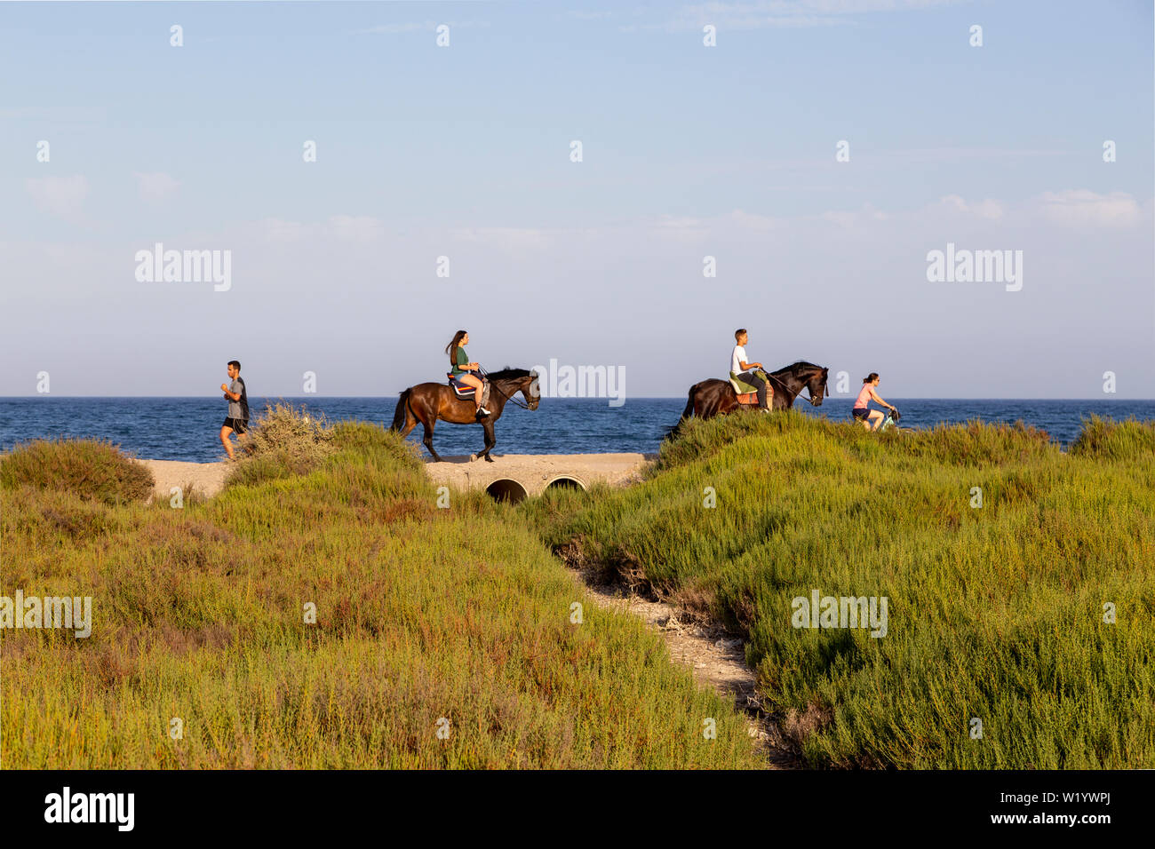 Good example showing the contrast between exercise and leisure. Two people on horse back riding, one person on bicycle cycling and one person jogging. Stock Photo