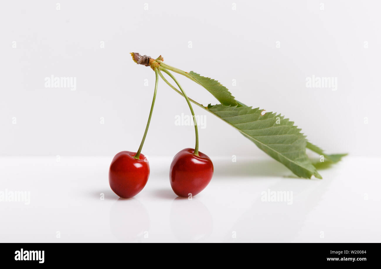 Tropical summer abstract background. Cherry with cuttings and leaves on the white background. Stock Photo