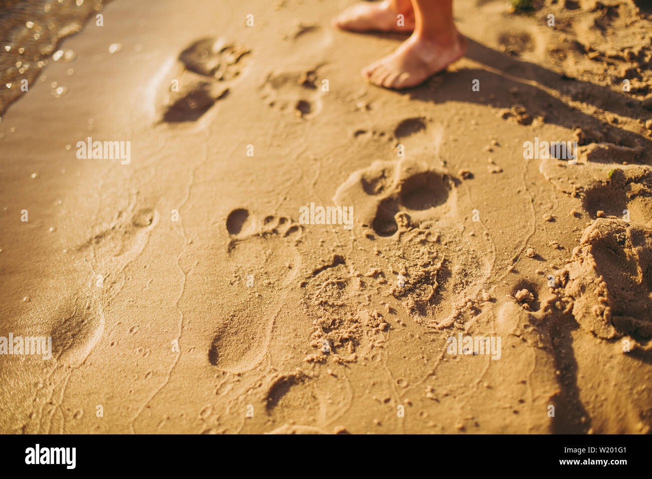 baby footprints in sand