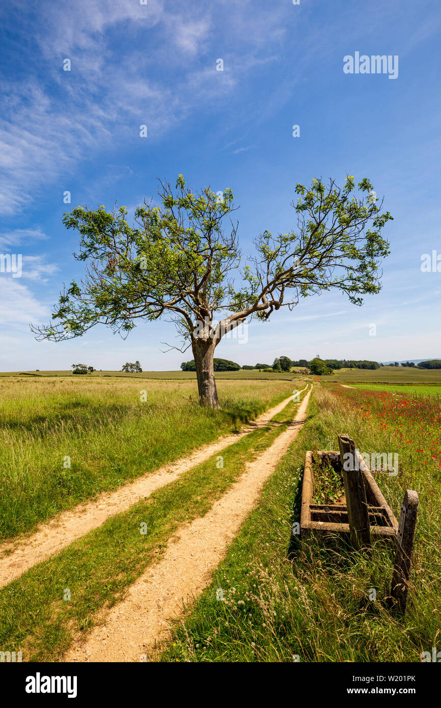 The track leading to the farm by the old water trough Stock Photo