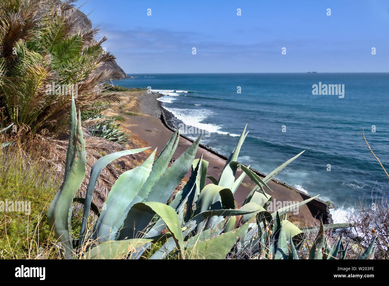 View over the black lava beach in Igueste on the Canary Island Tenerife. No people, in the foreground large agave plants, the Atlantic Ocean is dark b Stock Photo