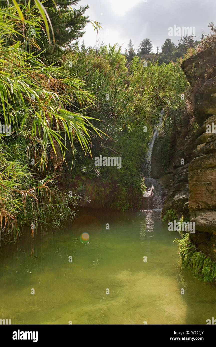 Baths of Adonis, Paphos District, Cyprus: upper pool and cascade Stock Photo