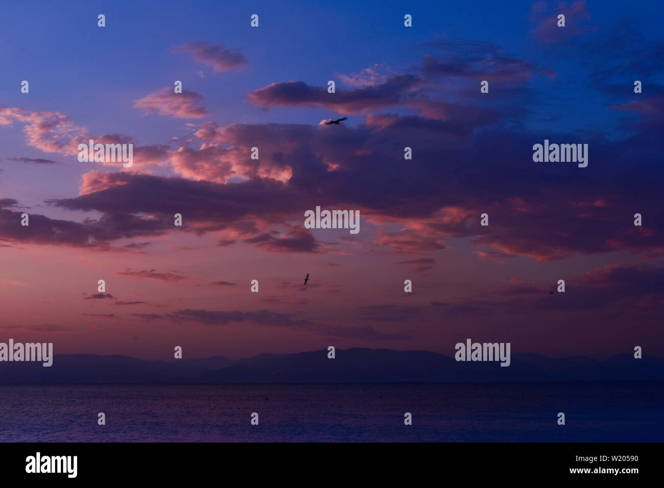 Beautiful sunset above the sea Stock Photo - Alamy