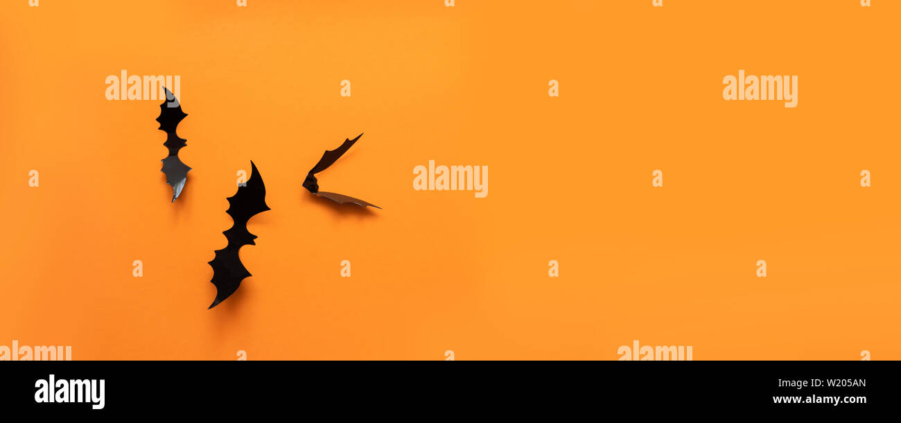 Creative top view halloween composition of black paper bats fly up on ...