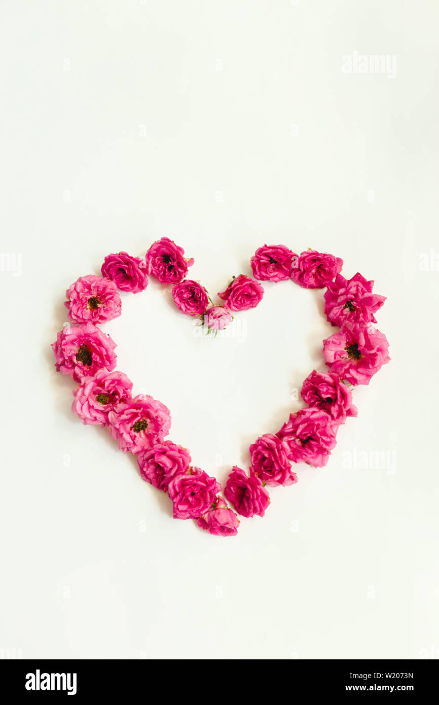heart of pink roses on white background, nature heart Stock Photo - Alamy