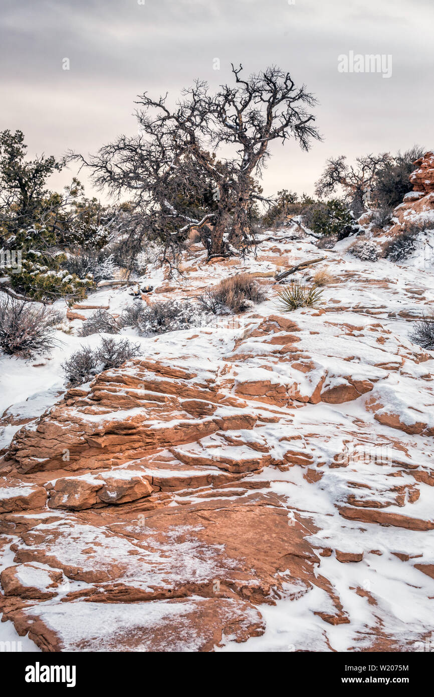 A beautiful winter day in winter after heavy snow, Canyonlands National ...