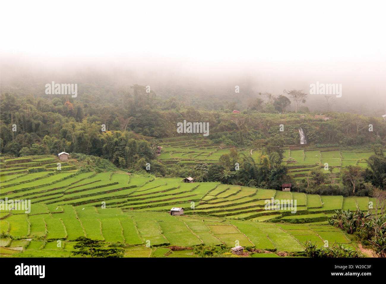 Ubud province hi-res stock photography and images - Alamy