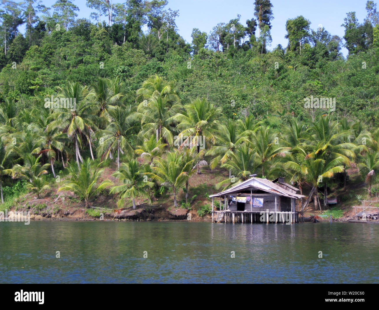 Traditional house on stilts in the water of a river, in front of a