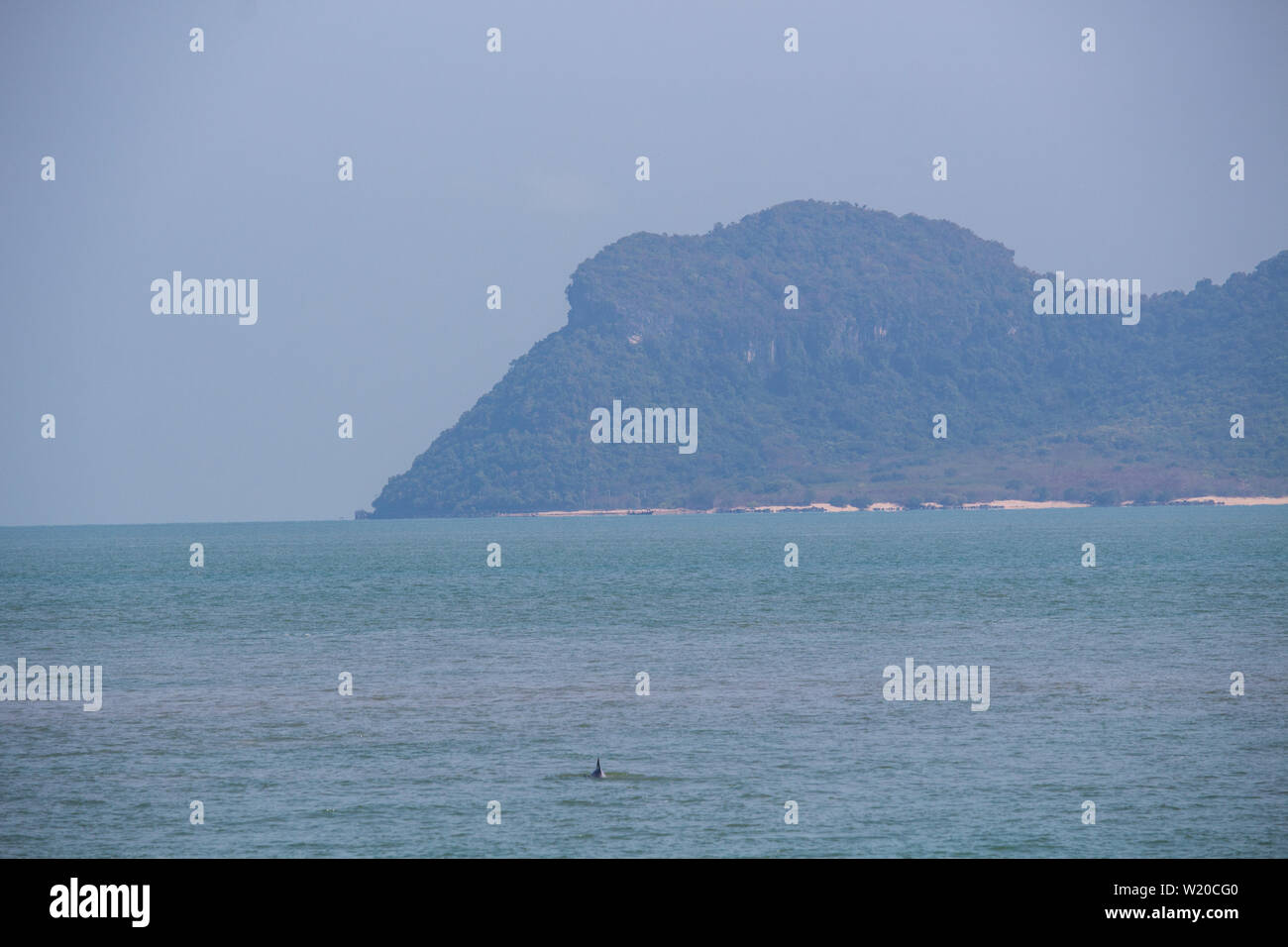 Fin of a black dolphin swimming in the waters of the Gulf of Thailand Stock Photo