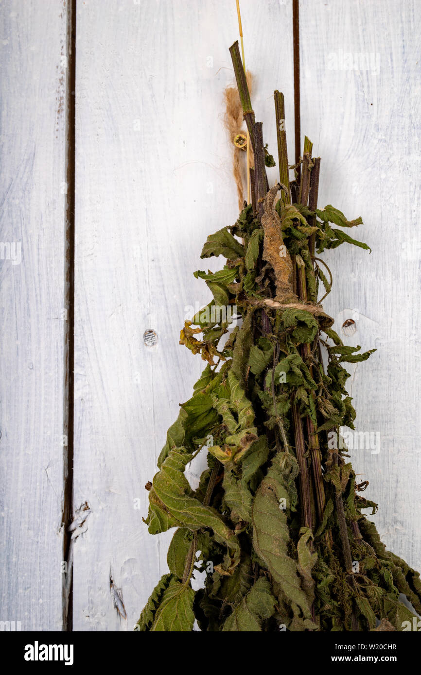 Dried nettle hung on the door of the pantry. Dry leaves of nettles ...