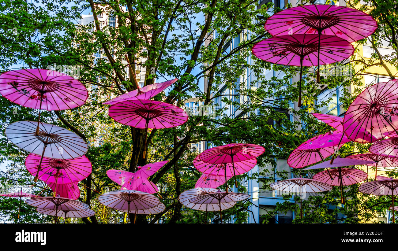 Decorative modern art of Asian umbrellas hanging from trees in the  beautiful Yaletown of Vancouver, British Columbia, Canada Stock Photo -  Alamy