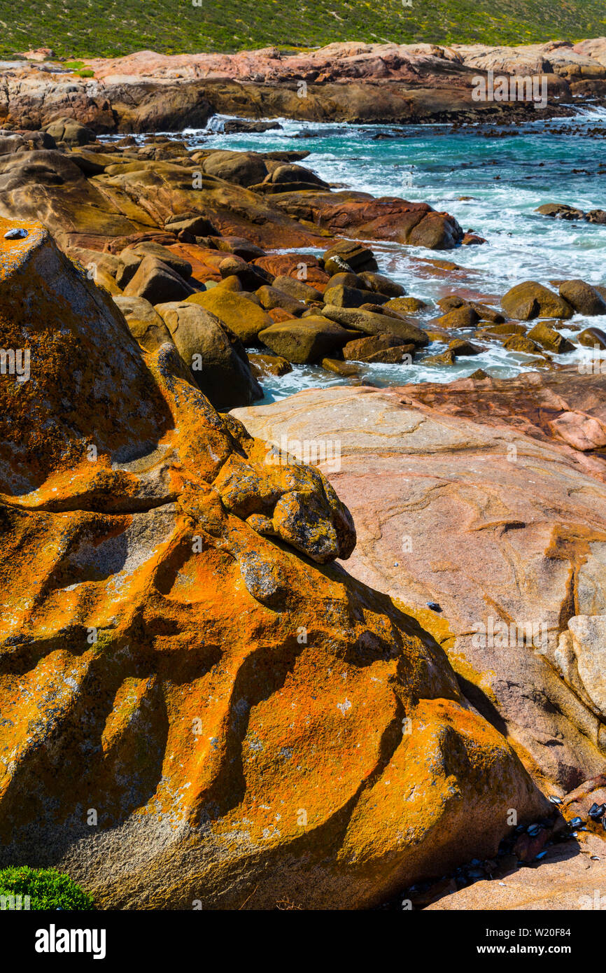 Cape Columbine Nature Reserve, West Coast Peninsula, Western Cape