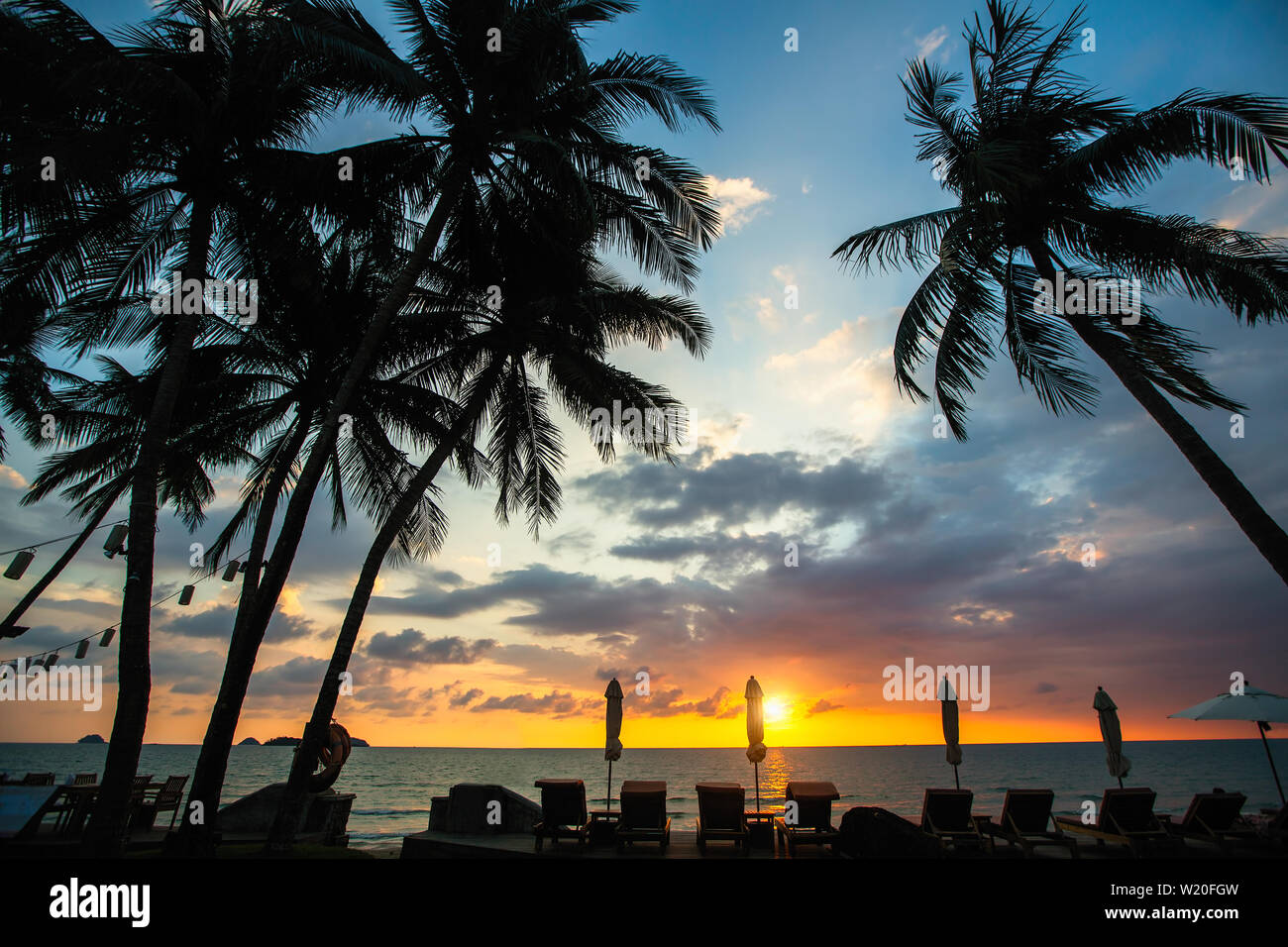 Tropical palm trees silhouetted against a dusk blue sky on the sea beach. Stock Photo