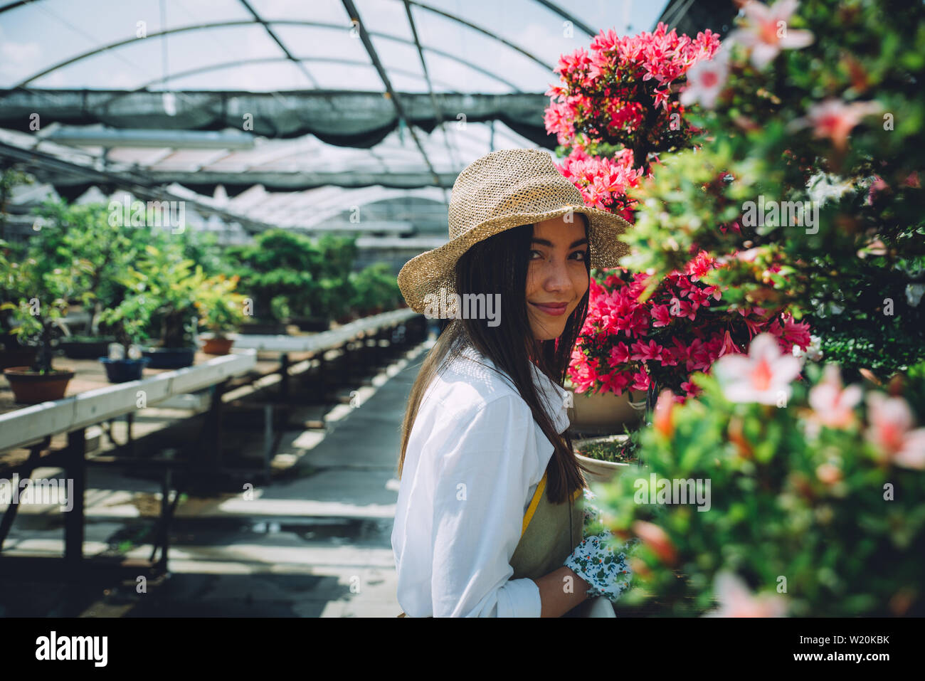 Bonsai greenhouse center. rows with small trees, woman working and taking care of the plants Stock Photo