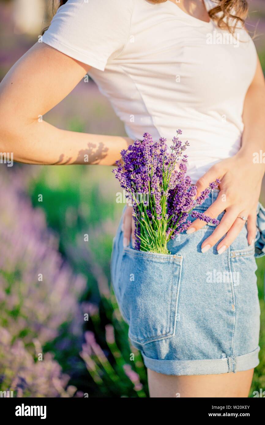 purple violet lavender flowers 