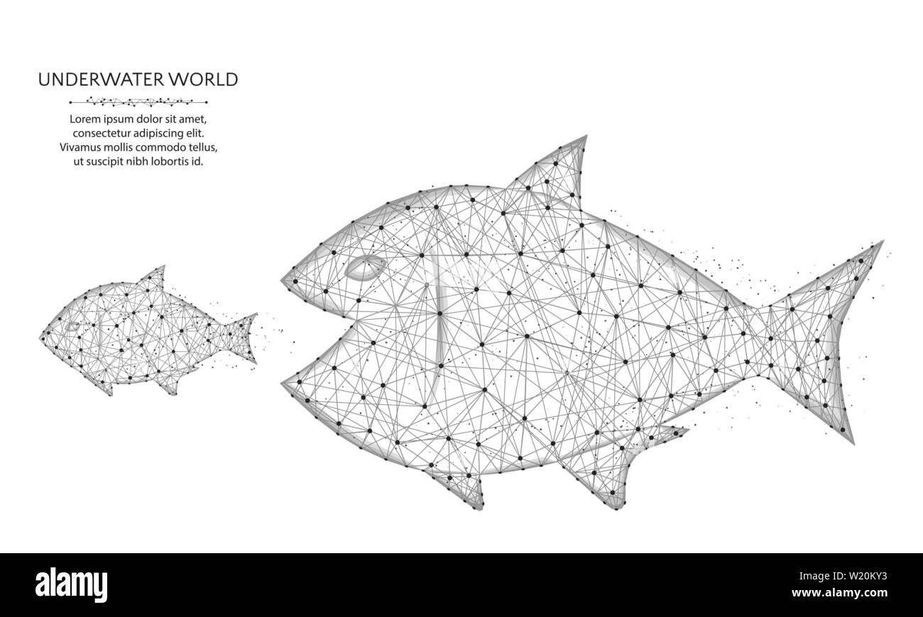 Big fish eat small low poly design, predator and prey in polygonal style, underwater world wire frame vector illustration on a white background Stock Vector