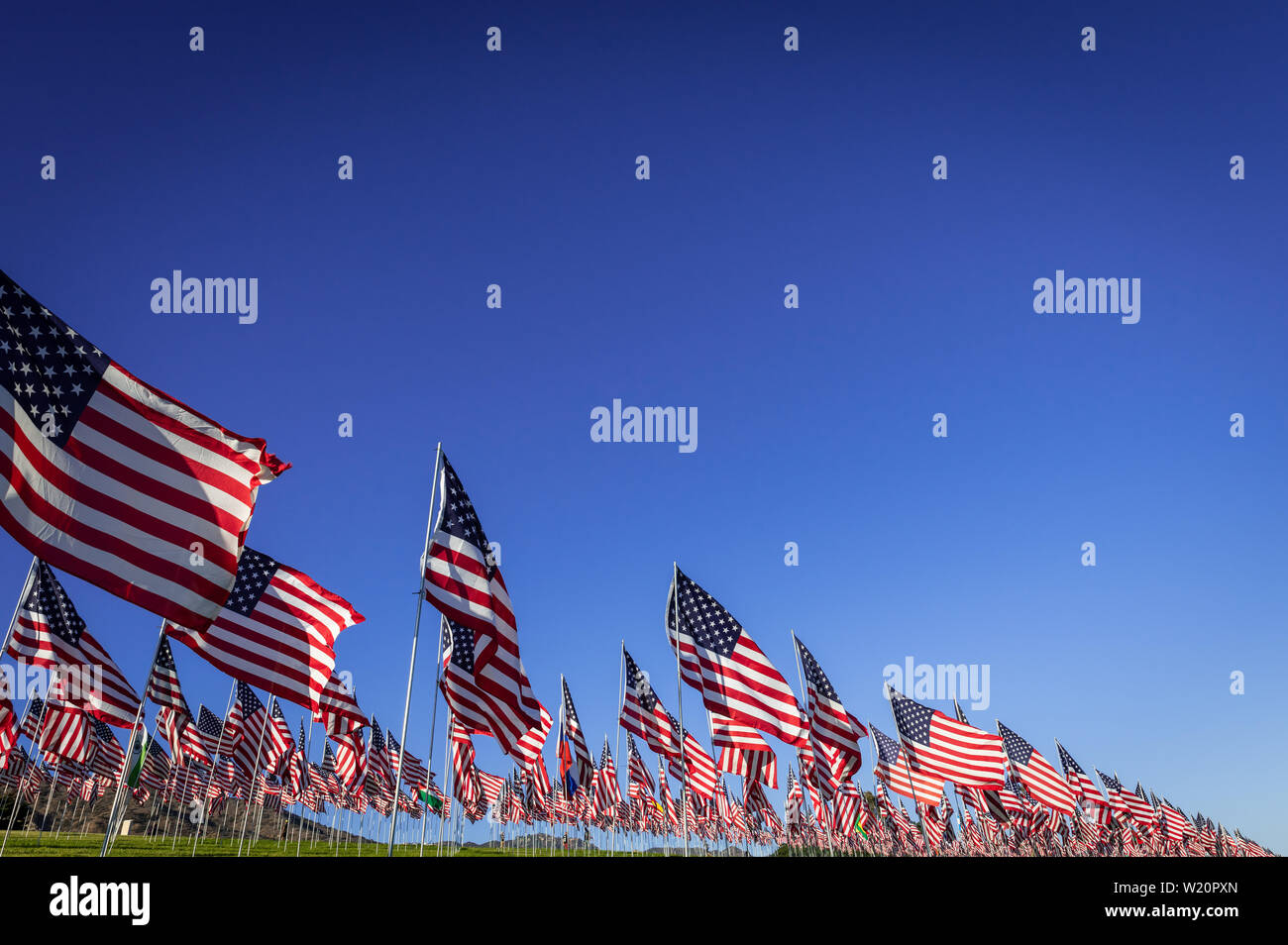 A large group of American flags. Veterans or Memorial day display Stock Photo