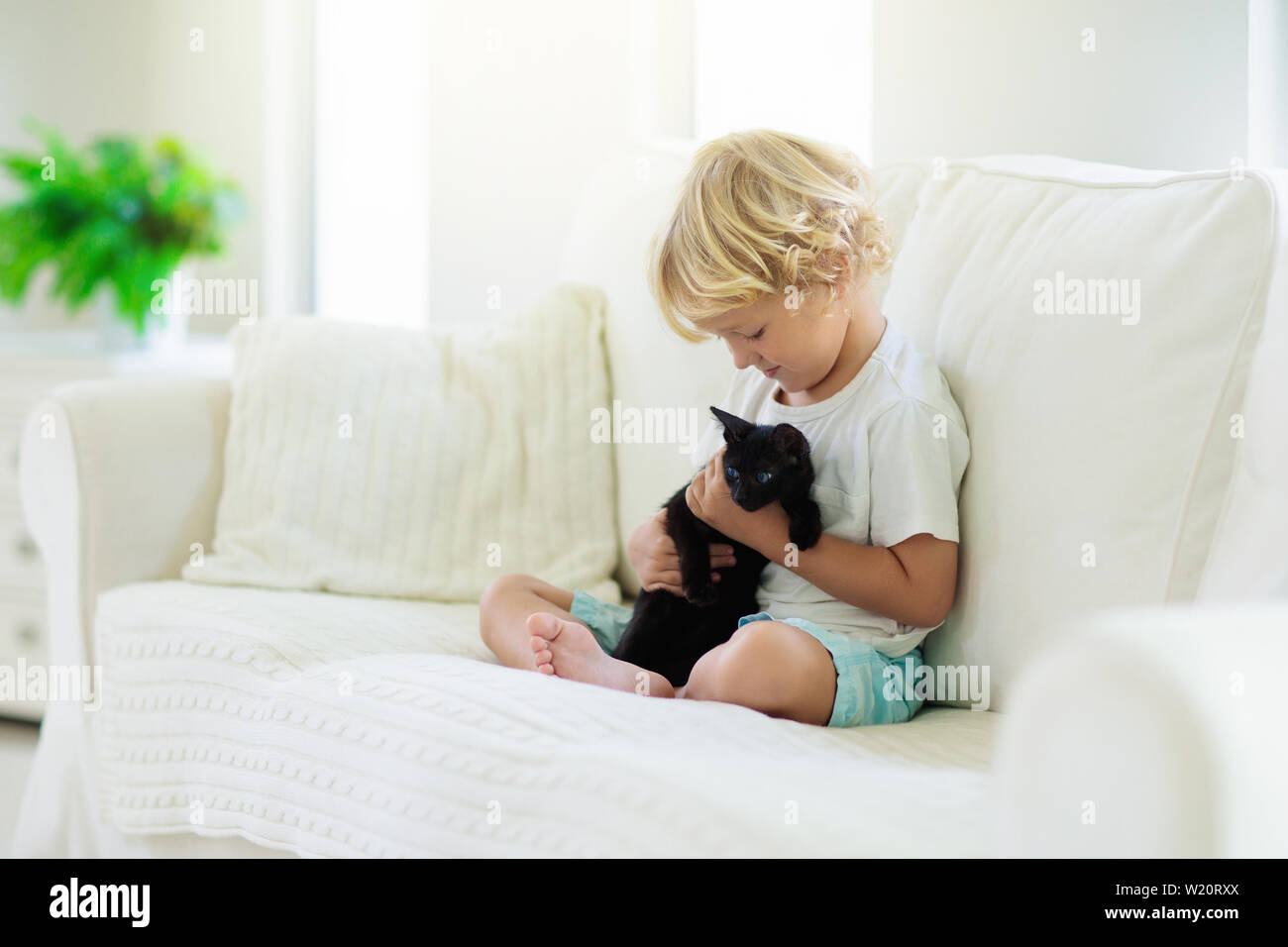 Child Playing With Baby Cat Kid Holding Black Kitten Little Boy