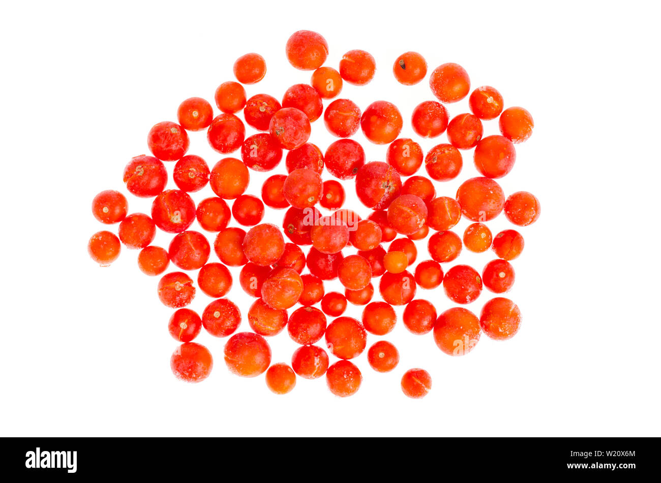 Tomatoes, frozen in refrigerator isolated on white Stock Photo Alamy